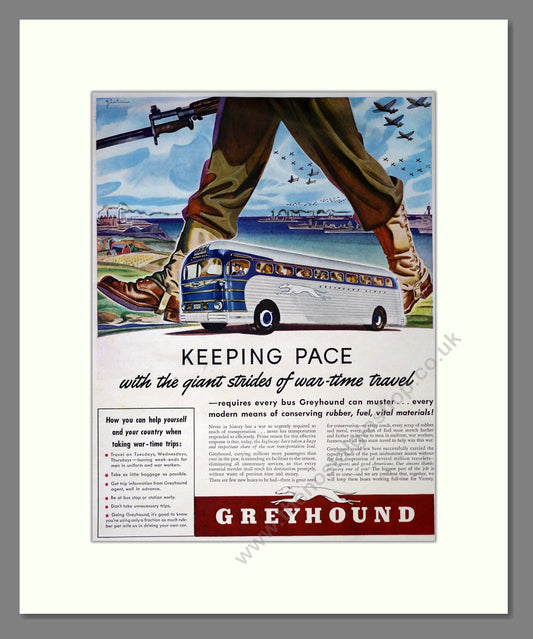 Greyhound Buses. Vintage Advert (ref AD301863)