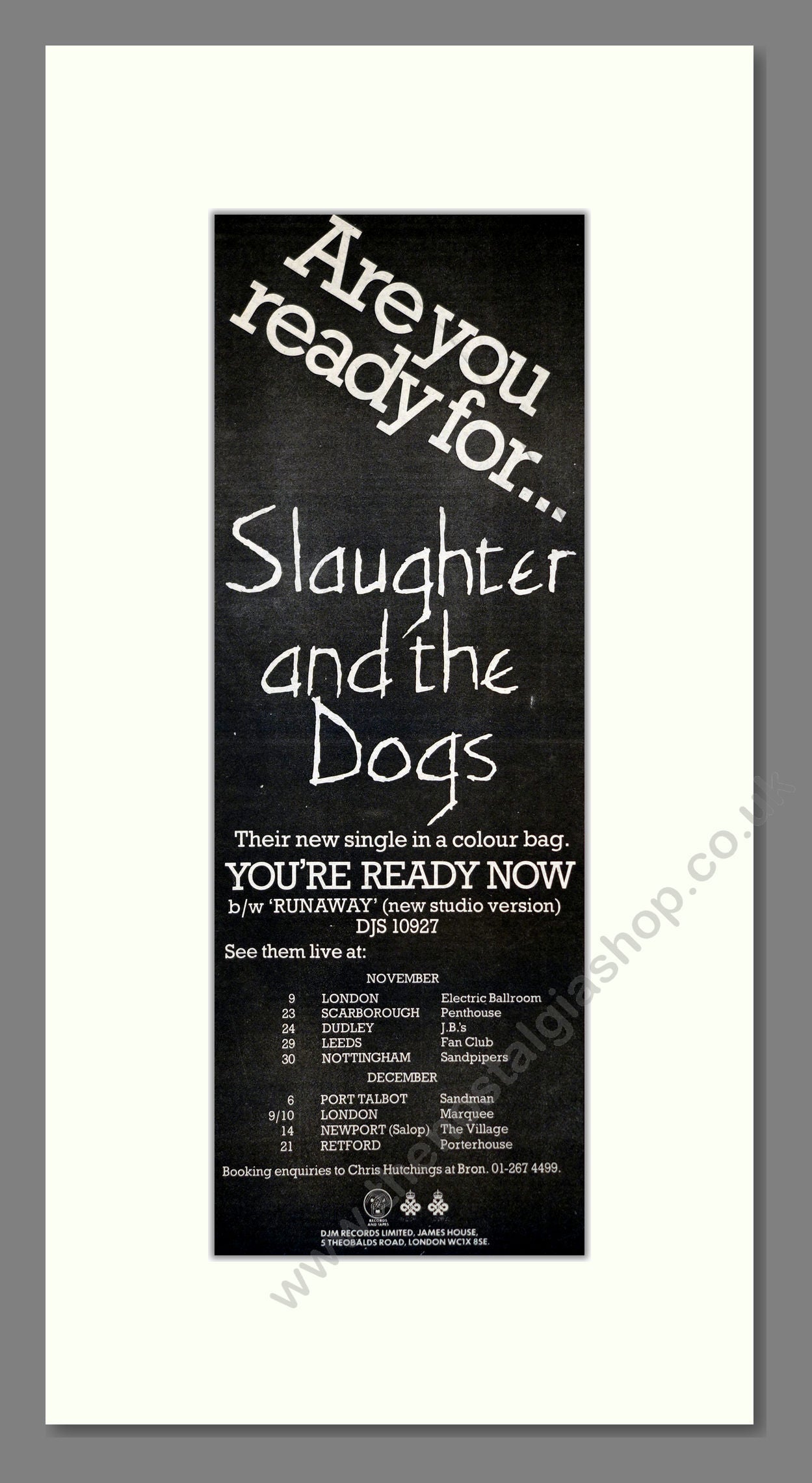 Slaughter And The Dogs - You're Ready Now (UK Tour). Vintage Advert 1979 (ref AD201176)
