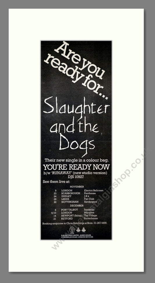 Slaughter And The Dogs - You're Ready Now (UK Tour). Vintage Advert 1979 (ref AD201176)