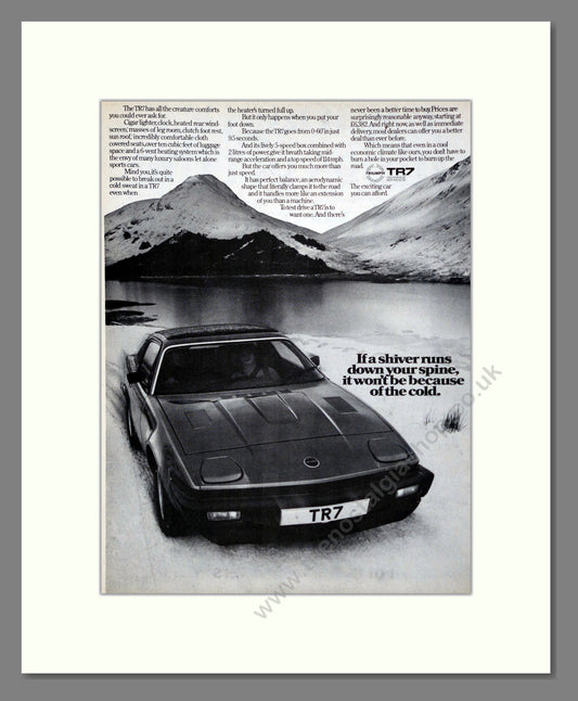 Triumph - TR7. Vintage Advert 1981 (ref AD61236)