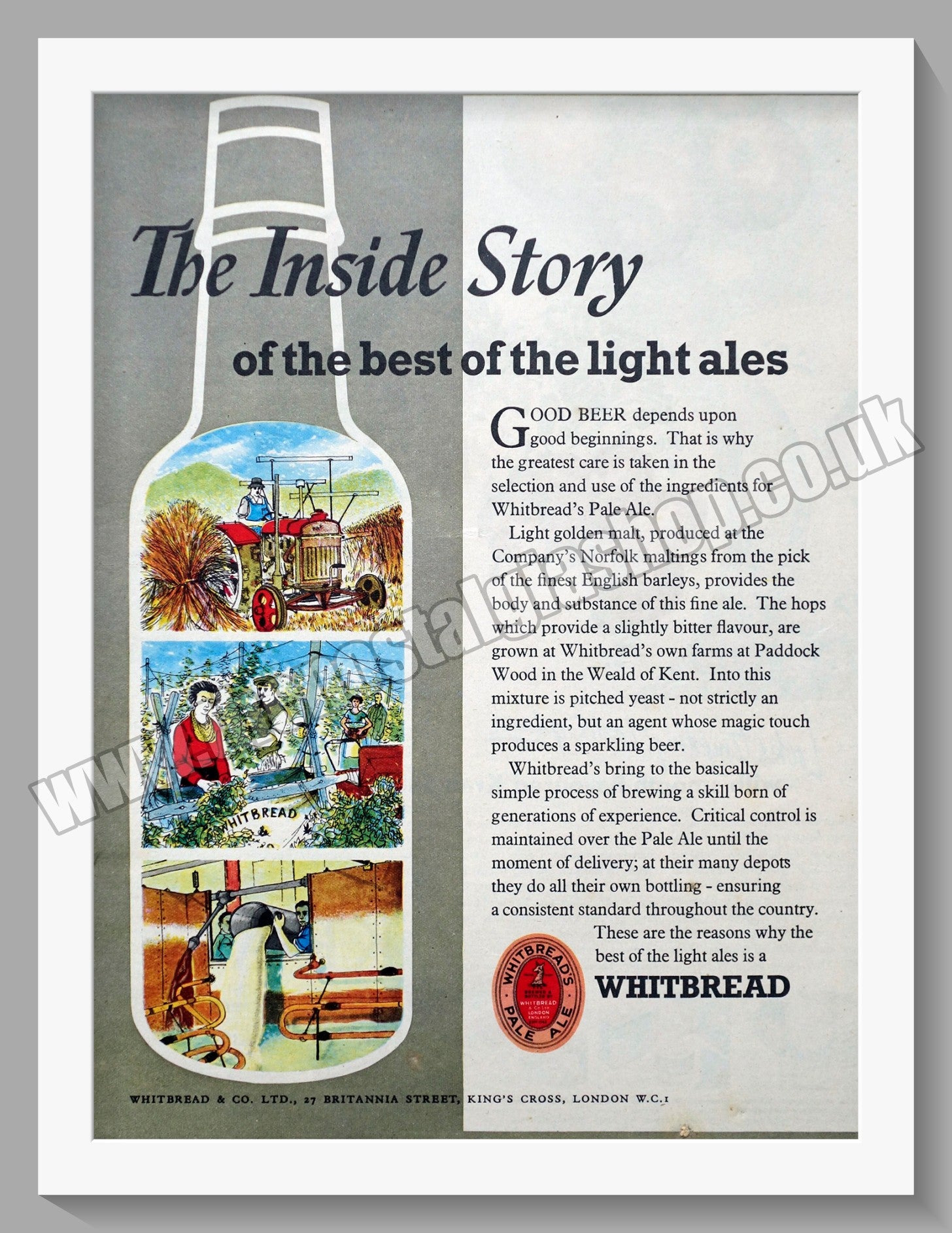 Whitbread Pale Ale. Original Advert 1953 (ref AD300175) – The Nostalgia ...