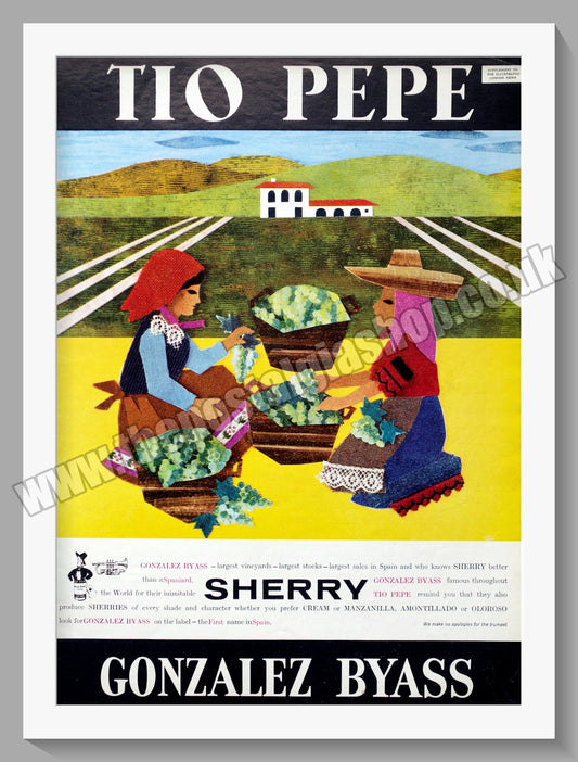 Gonzalez Byass. Tio Pepe Sherry. Original Advert 1964 (ref AD300242)