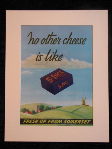 ST Ivel Cheese. Original advert 1955 (ref AD240)